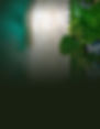 samui web header-012-01.jpg