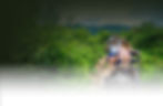 samui web header-019-05.jpg