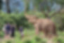 58 Ammatarapura.jpg