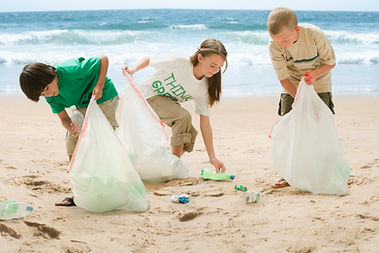 Beach Cleanup Effort